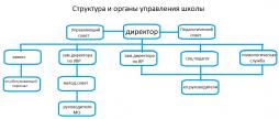 Структура управления школой