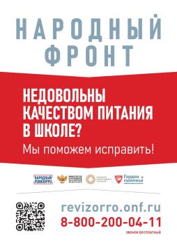 Баннер горячей линии Народного фронта и Минпросвещения "Народный ревизорро"